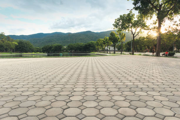 Professional Driveway Pavers in Katy, TX